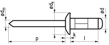 Blindklinknagel open, platbolkop, aluminium huls / stalen pen wit