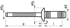 Blindklinknagel RVS (A2)/RVS (A2) Masterbulb/high strength/bolkop