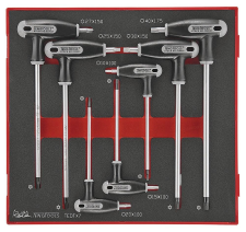 T-hendel TX sleutelset TED tray